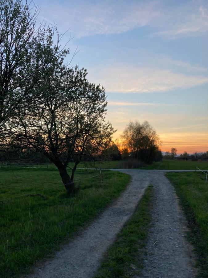Domki Gorskie Szlaki Czarny Dunajec Buitenkant foto
